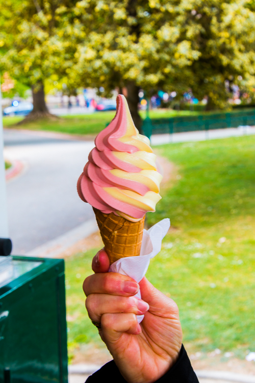 Before we left the gardens and went down to the rier's edge, Strawberry-Vanilla ice cream cone was in order!